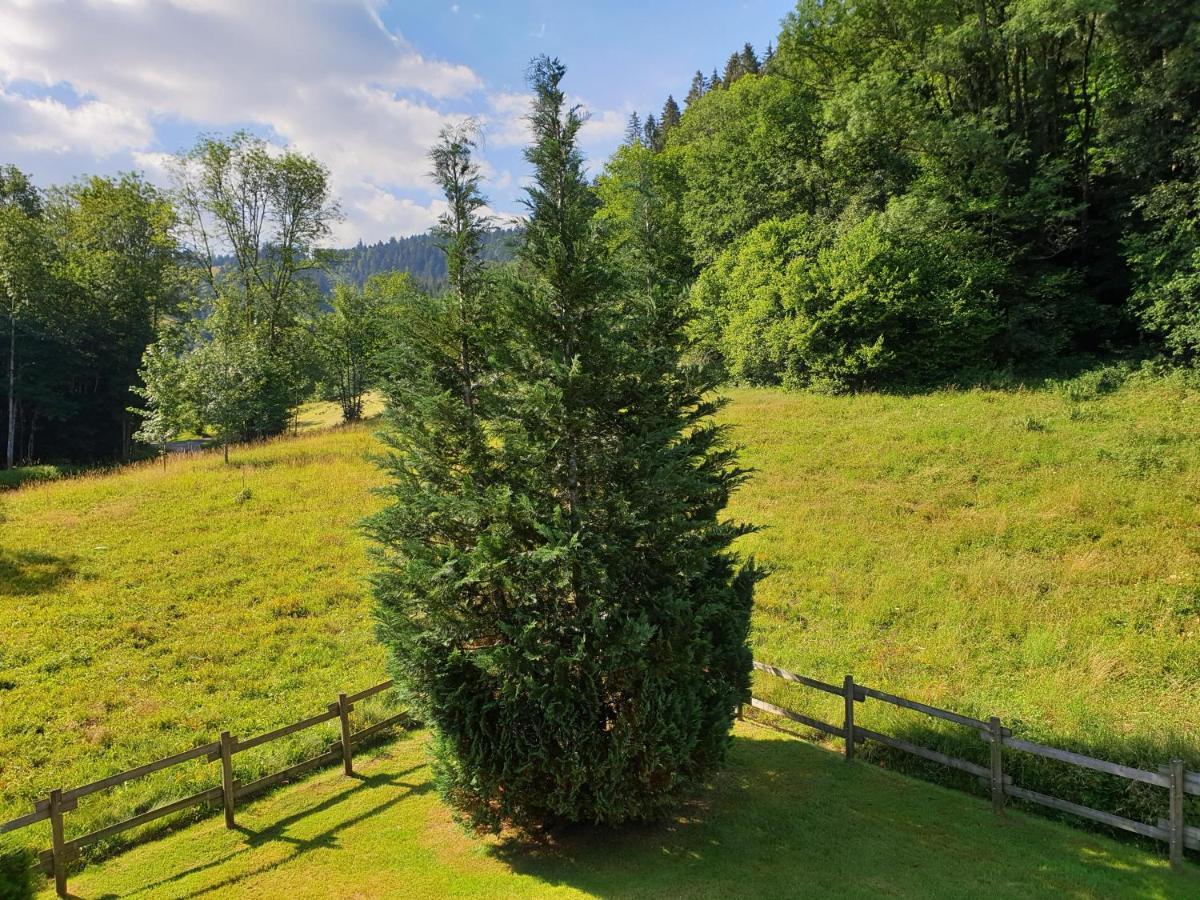 Le Bois Joli Chalet 4 Etoiles Cledicihome Cadre Paisible En Lisiere De Foret Gérardmer Kültér fotó