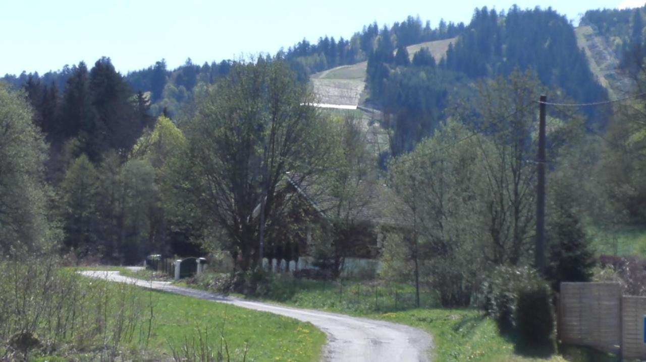 Le Bois Joli Chalet 4 Etoiles Cledicihome Cadre Paisible En Lisiere De Foret Gérardmer Kültér fotó