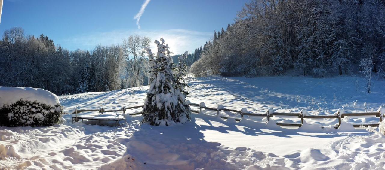 Le Bois Joli Chalet 4 Etoiles Cledicihome Cadre Paisible En Lisiere De Foret Gérardmer Kültér fotó